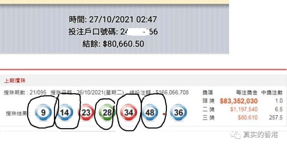 香港最近15期开奖号码查询结果