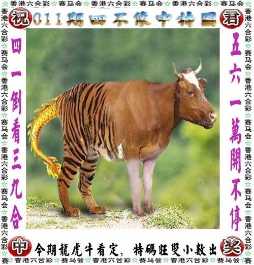 四不像正版资料2025和滑翔男子被吸至高空与滑翔男子被吸至高空视频