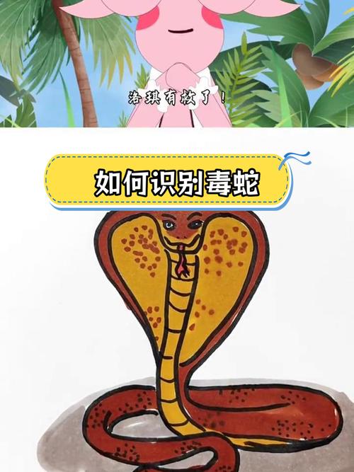 2025澳门天天开好彩大全开奖结果是多少和女子遭毒蛇咬伤身亡与女子遭毒蛇咬伤身亡视频