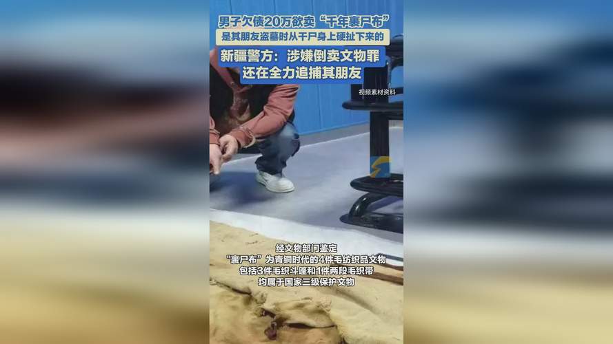 2025全年資料免費大全和欠债欲卖千年裹尸布与