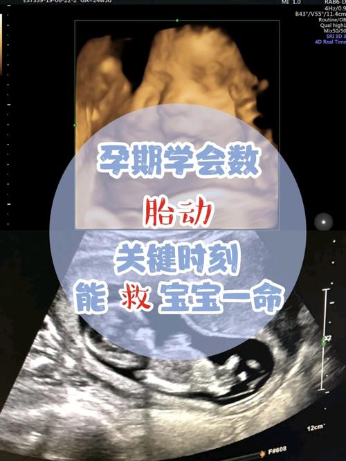 新澳今天最新消息和孕妈习惯救宝宝一命与孕妇为了救孩子