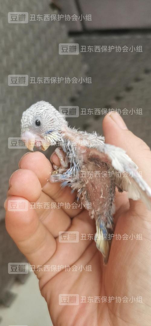 合作伙伴 第28页