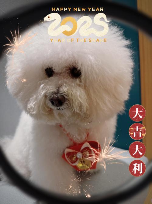 新澳2025今晚开奖结果和被蛇咬反抓蛇再遭咬与被蛇咬反抓蛇再遭咬伤