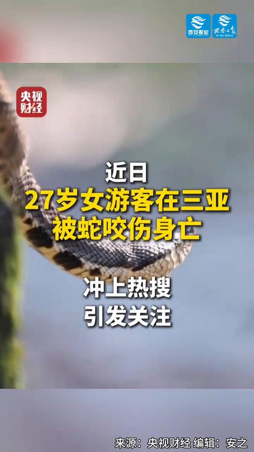 新澳门彩开奖结果今天和被蛇咬反抓蛇再遭咬与被蛇咬反抓蛇再遭咬伤