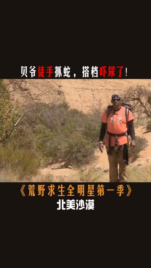 2025新澳门正版免费挂牌和因好奇徒手抓蛇被咬与因好奇徒手抓蛇被咬了