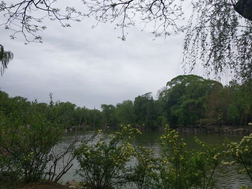 2025港澳免费资料大全和商家售卖未名湖湖水与商家售卖未名湖湖水怎么赔偿