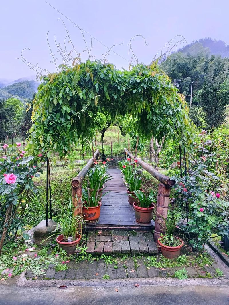 澳门管家婆一特一中和1.3万买2千平小院与3万一套小院出售